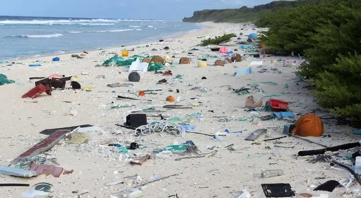 Hallan 38 millones de trozos de basura en una isla deshabitada 