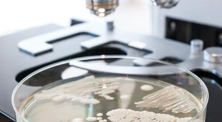 Prueba casera para detectar la cándida en el cuerpo y cómo eliminarla naturalmente