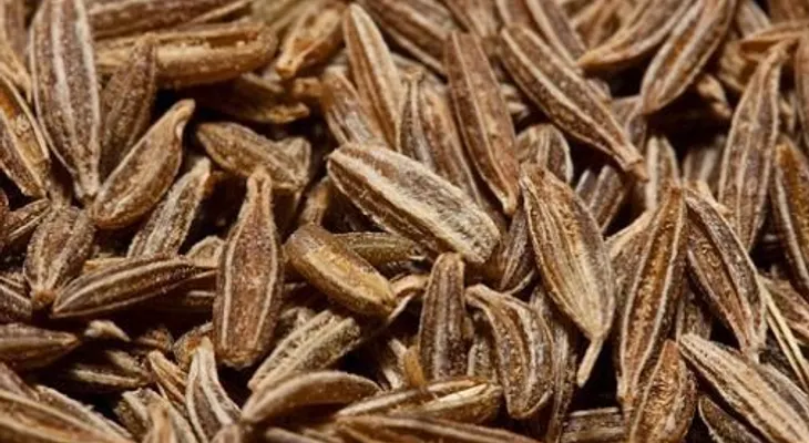 Comino - Propiedades y usos medicinales