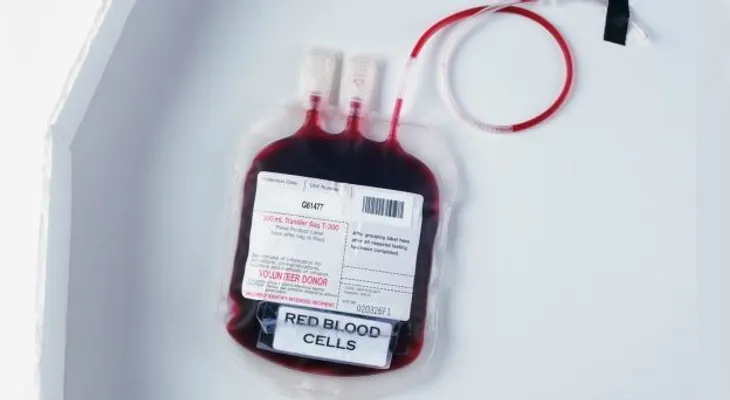 10 datos interesantes sobre la donación de sangre