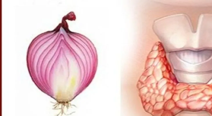 Durmieron con una cebolla morada en el cuello y cuando despertaron fueron testigos de un un milagro!!! 