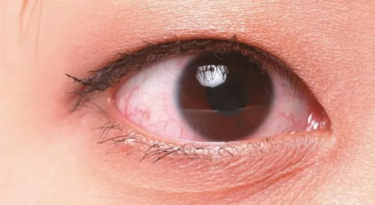 Científicos resucitarán ojos de fallecidos para experimentar con ellos