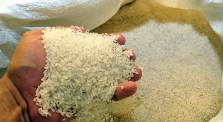 Protección al arroz dominicano: ¿competitividad o seguridad alimentaria?
