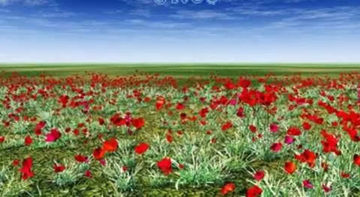 Expresar gratitud