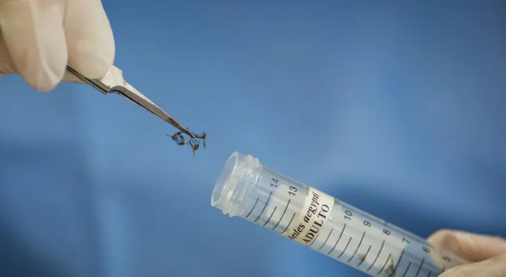 Cuba confirma tres nuevos casos importados del virus del Zika