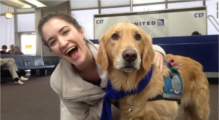 Aerolínea usa equipo de perros para calmar a viajeros nerviosos