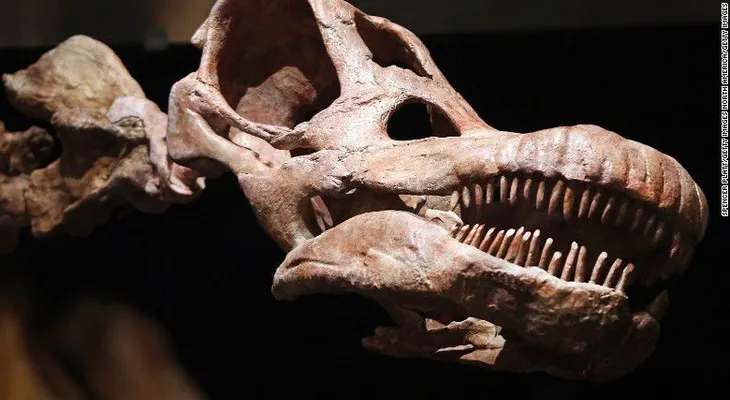 Hazte a un lado T. Rex: se da a conocer un nuevo dinosaurio