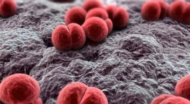 Hoy se celebra el Día Mundial de la Meningitis