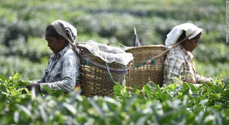 Desempleo mundial alcanza los 200 millones y los salarios se estancan, según OIT