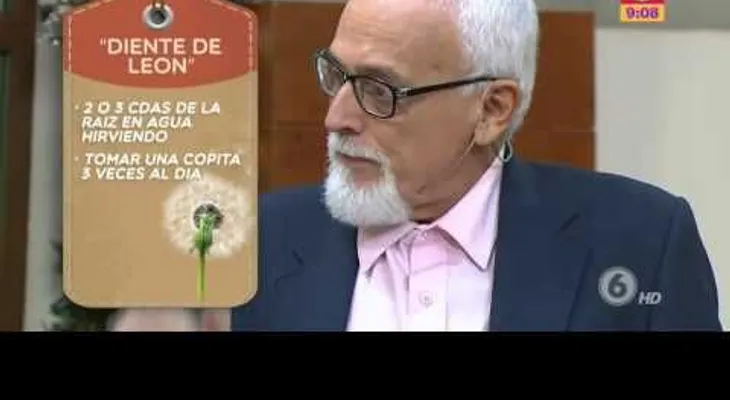 El doctor Conejo explica cómo usar el diente de león, moringa, hombre grande y otras plantas que disminuyen niveles de azúcar