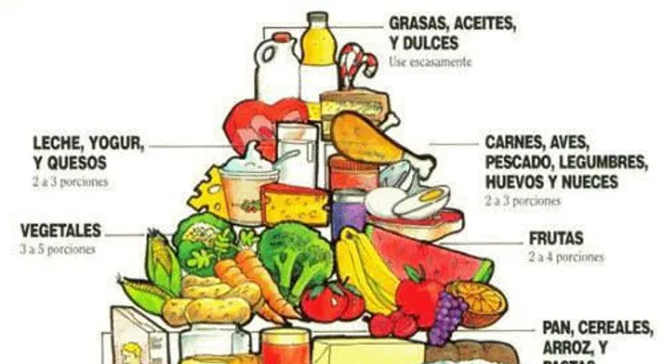 Guía de vitaminas y minerales