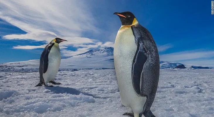 Una bahía en la Antártida, la mayor área marina protegida del mundo