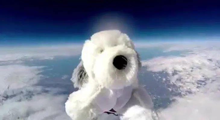 Se busca a Sam, el perro de peluche cosmonauta que alcanzó la estratosfera