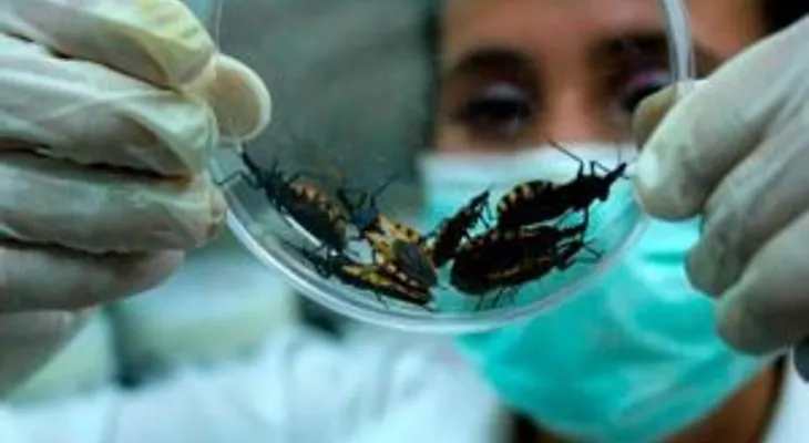 La enfermedad del Chagas llega a República Dominicana; alcances y síntomas