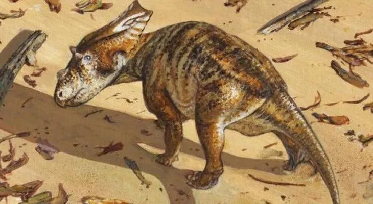 El esqueleto intacto de un dinosaurio de 75 millones de años entusiasma a los científicos