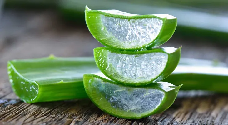 Combate 5 problemas de salud con jugo de aloe vera, así se prepara