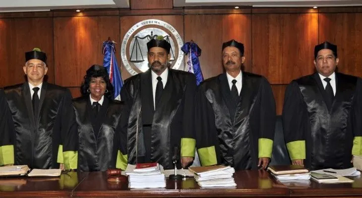 TSE anuló elecciones PLD en Circunscripción 3 del DN; ordena convocar nuevas en 30 días