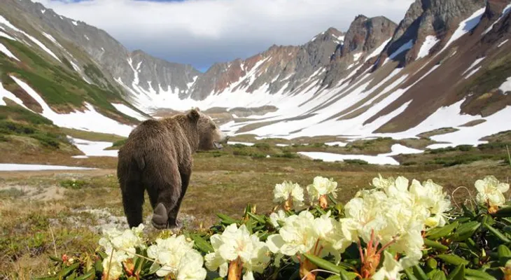 Los agujeros gigantes de Siberia esconden una amenaza planetaria