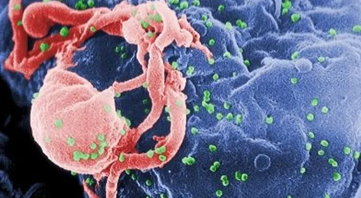 ¿Un fármaco 'todoterreno' para la infección por VIH?
