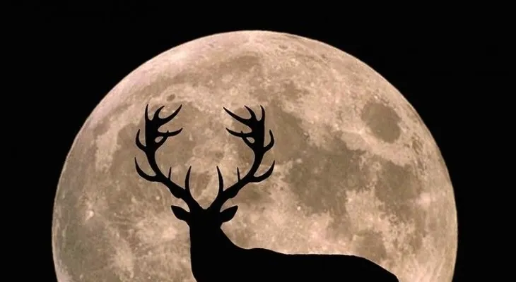 Qué es la "luna del ciervo" y cómo verla para capturar toda su energía