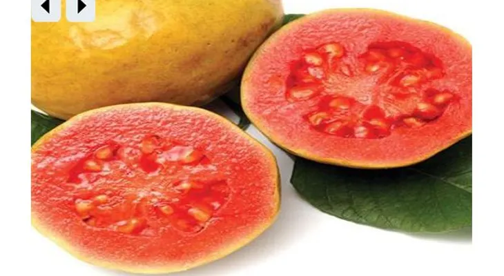 Utiliza la guayaba y sus hojas para combatir la diabetes, curar la colitis, el asma, la gota, el catarro y mucho mas. Mira como debes prepararlo.