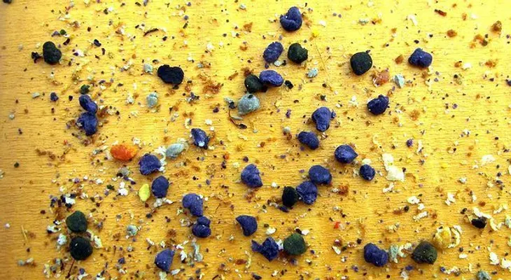 Polen de abeja: Propiedades y beneficios 