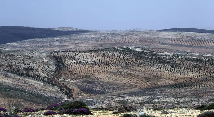 Al menos 6 muertos en el Líbano por una explosión cerca a la frontera con Siria