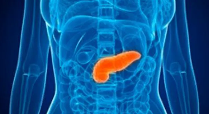 Cáncer de páncreas: Factores de riesgo, síntomas y prevención
