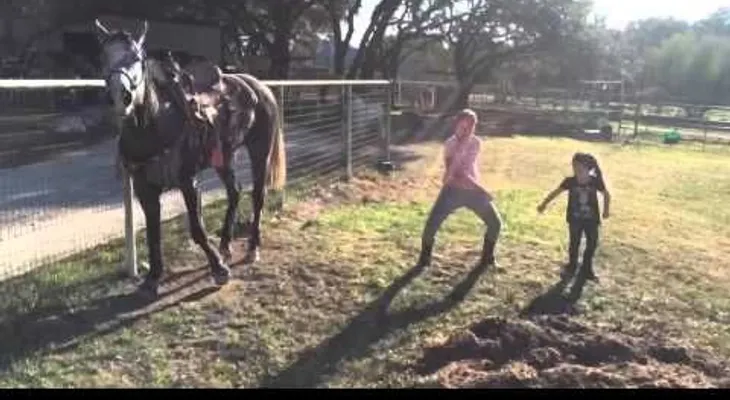 El caballo intenta robarle a la niña el espectáculo del baile 