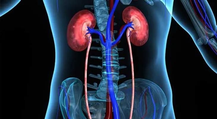 Lesión renal aguda en atención primaria