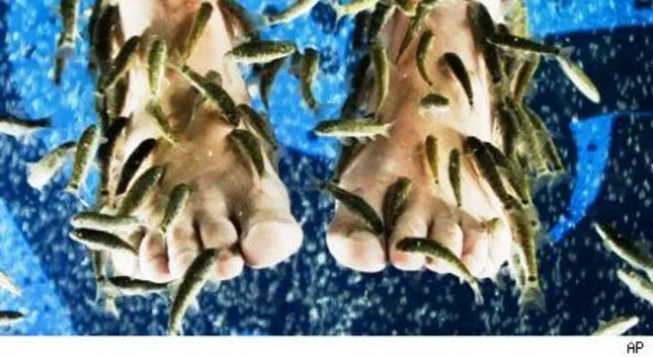 Procedimiento de pedicura con peces