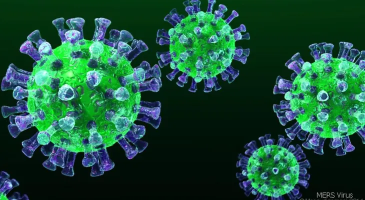 República Dominicana sube a 313 fallecidos por coronavirus; 7,288 casos infectados 