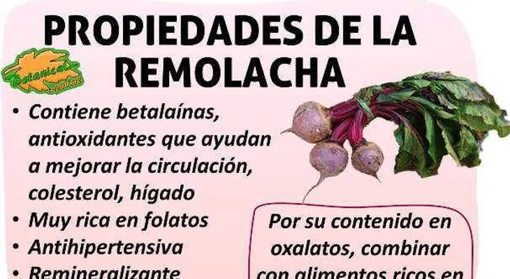 Con este vegetal en tu dieta desaparece la grasa del hígado, combate el estreñimiento y controla la hipertensión