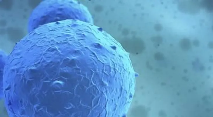 Regeneran tejido de la médula con células madre