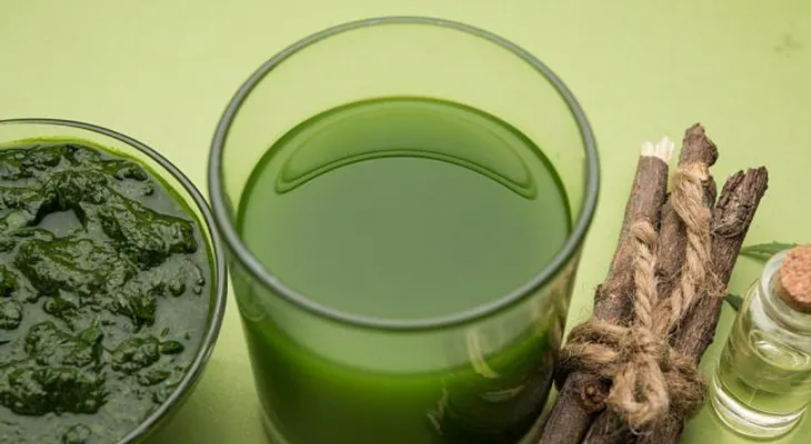 Aceite de Neem o Nim es un regalo de la naturaleza; sus beneficios para el organismo