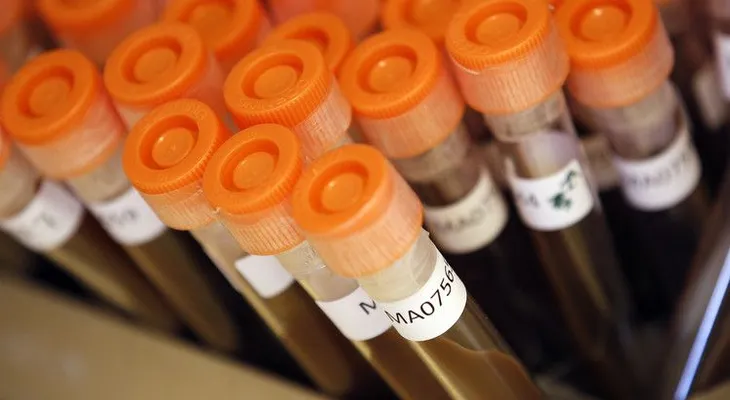 Sin salvación posible: ¿Qué haremos cuando llegue el  armagedón de los antibióticos?