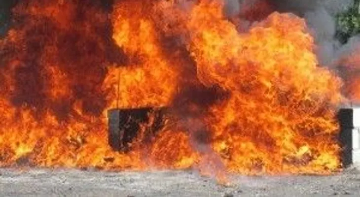 La Procuraduría incinera 216 kilogramos de drogas 