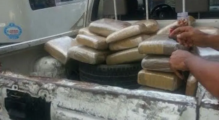 DNCD y el Ejército decomisan 237 libras de material presumen es marihuana
