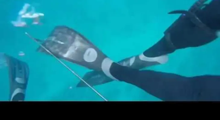 Un pescador grabó el aterrador momento cuando fue mordido por un tiburón 