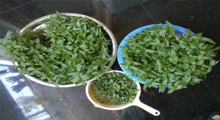 2 porciones de estos vegetales puede rejuvenecer tu cerebro