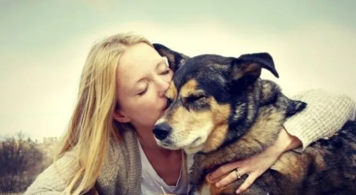 7 enfermedades compartida por animales y los humanos 