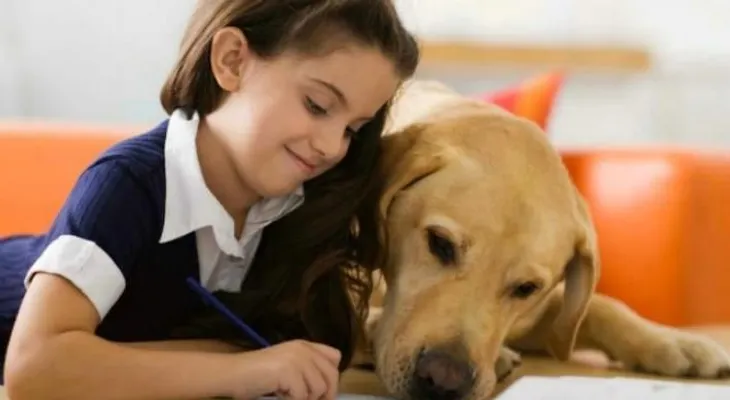10 reglas de oro para convivencia niños y perros