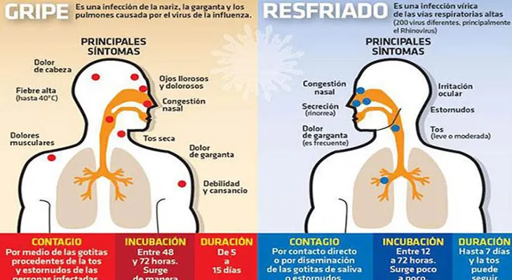 Cómo saber si es una gripe o un resfriado