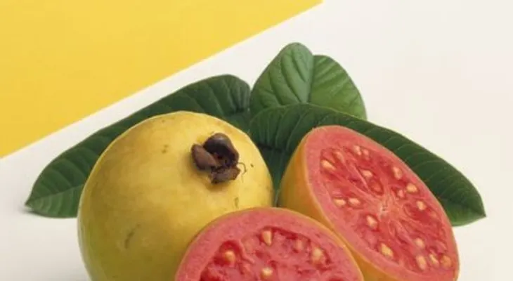 La guayaba: sabor y salud en una sola fruta; sus hojas reducen la disentería y las diarreas