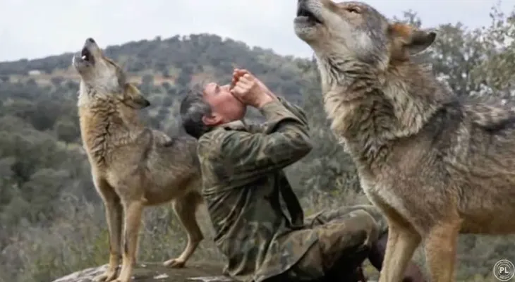 Muere a los 80 años Marcos Rodríguez, el «niño lobo» de Sierra Morena que fue criado por lobos
