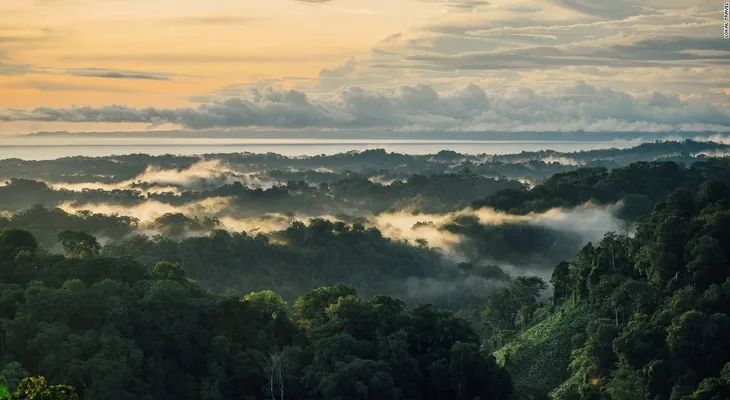 Vacaciones verdes: 10 lugares sostenibles que no dañan a la Tierra