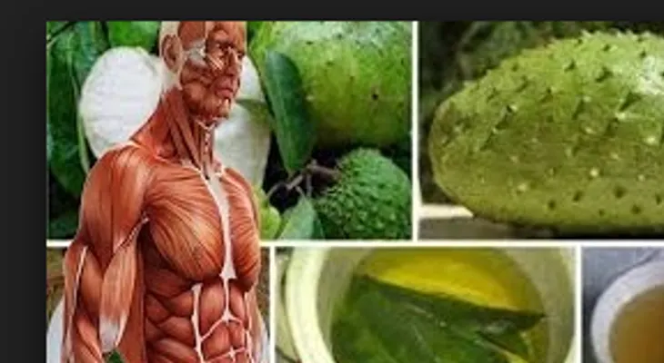 La industria no quiere que te entere: esta planta combate la diabetes y el cáncer; dicen que cura el VIH