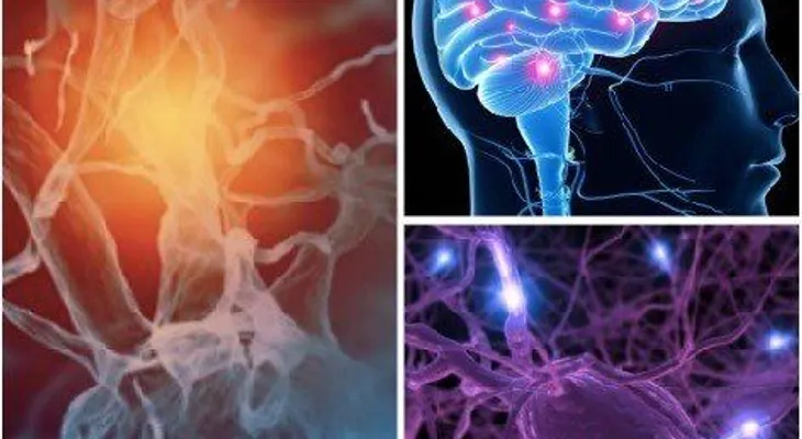 Causas hormonales que afectan a la libido en los hombres