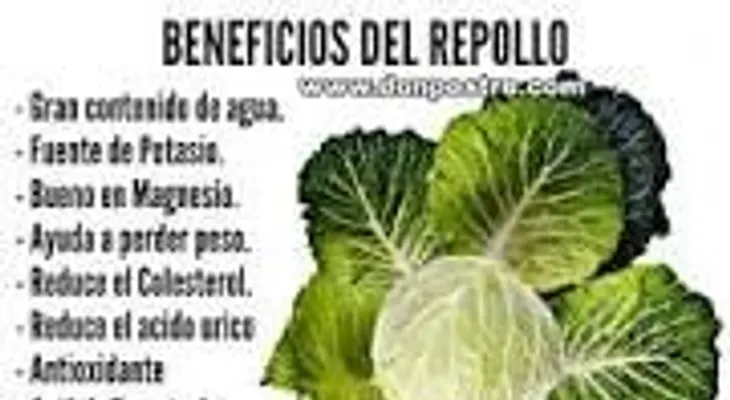 Descubriendo los beneficios del repollo: un aliado contra el estreñimiento y múltiples enfermedades