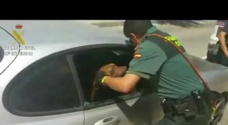 El rescate de un perro que está a punto de morir asfixiado (VIDEO)